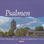Psalmen - Niet-ritmische Mannenzang, Tiel artwork