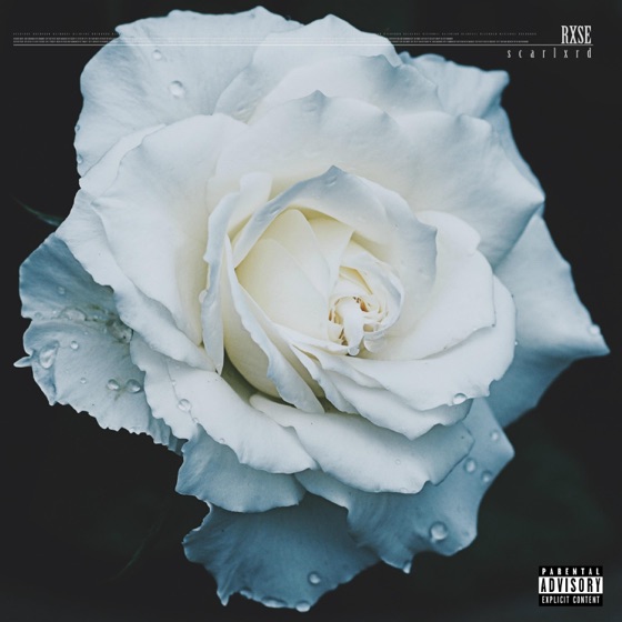Cover artwork for Murder Yxurself