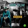 Sound Sultan - Motherland (feat. Ada)