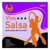 Viva Salsa, Vol. 3, 2006