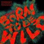 Born to be Wild (feat. J.Y. Park) artwork