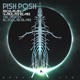 Frogman the Moon Remixes Single