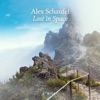 Alex Schaufel - Oblivion
