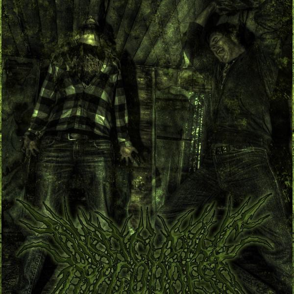 Disfiguring The Goddess Lyrics, Songs, and Albums | Genius