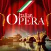 Tullio Serafin, Maria Callas, Teatro Alla Scala Orchestra, Franco Corelli, Nicola Zaccaria, Oliviero de Fabritiis, Coro del Teatro alla Scala di Milano & Noberto Mola - Norma, Act II: Scene 3, Qual cor tradisti, qual cor perdesti (Coro/Norma/Pollione/Oroveso)