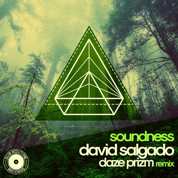 Soundness (feat. Daze Prism) - Single