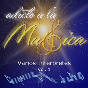 Adicto a la Música, Vol. 1