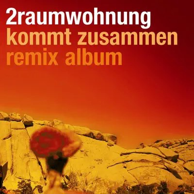 Kommt zusammen Remix Album - 2Raumwohnung