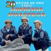 20 Éxitos de Oro
