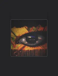 Ouça Kaleidoscope Hall, assista a videoclipes, leia a biografia, veja as datas das turnês e mais!