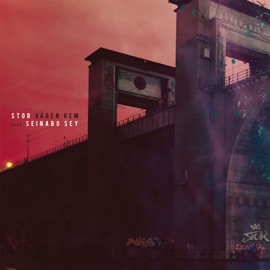 Vägen hem (feat. Seinabo Sey) Stor