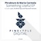 Something Useful (Platunoff Remix) - Phrakture & Maria Carmela lyrics