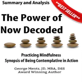 Summary and Analysis: The Power of Now Decoded: Practicing Mindfulness Synopsis of Being Contemplative in Action (Unabridged)