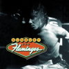 Flamingos - Bunbury