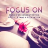 Focus On – Music for Concentration, Study, Exams & Relaxation: Homework, Working and Reading Sounds, Smooth & Calm New Age