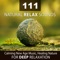 Find Peace in the Indian Sanctuary - Guided Meditation Music Zone lyrics