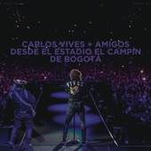 La Gota Fría (En Vivo Desde el Estadio El Campín de Bogotá) artwork