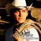 Como un Rosal (feat. Joss Favela) - Miguel Martínez lyrics