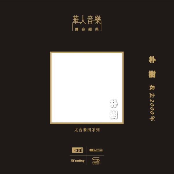 白桦林