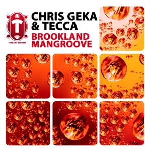 Brookland / Mangroove - Single