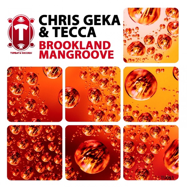 Brookland / Mangroove - Single