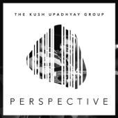 Perspective - The Kush Upadhyay Group