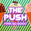 THE PUSH - Feel So Good