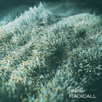 1986 - Single - Radicall