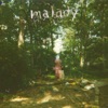 Malady