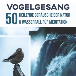 Vogelgesang: 50 Heilende Geräusche der Natur & Wasserfall für Meditation, Yoga mit Anti-Stress-Musik, Gesundheitsfördernde Entspannungsmusik