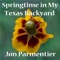 Forever Green (With Red-Shouldered Hawk) - Jon Parmentier lyrics