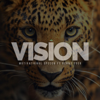 Vision (Motivational Speech) [feat. Benny Esco] - Fearless Motivation
