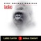 Koko Love - Laurel Canyon Animal Company lyrics