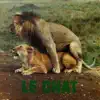 Pussycat - Le Chat