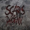 Scars of Phoenix