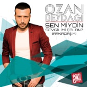 Sen Miydin Sevgilimi Çalan? / Arkadaşım (Club Remix) artwork