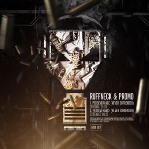Perseverance (Never Surrender) [Full DJ Mix] - Single