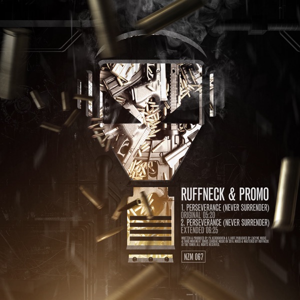 Perseverance (Never Surrender) [Full DJ Mix] - Single