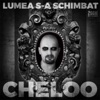 Lumea s-a schimbat - Single