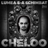 Cheloo - Lumea s-a schimbat artwork