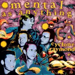 Cyclone Raymond - Mental As Anything