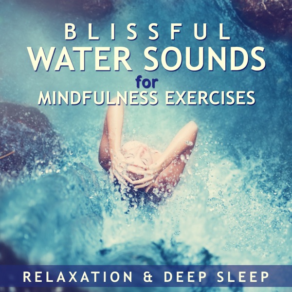 Blissful Water Sounds for Mindfulness Exercises, Relaxation & Deep Sleep: Beautiful Ocean, Sea, Forest Streams, Rivers & Waterfalls Soundscapes