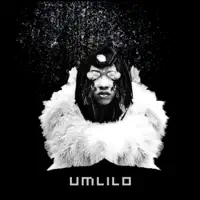 Living Dangerously (feat. Kyla Phil) — Umlilo