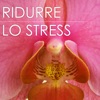 Pura Meditazione Stress