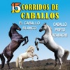 Caballo de Patas Blancas