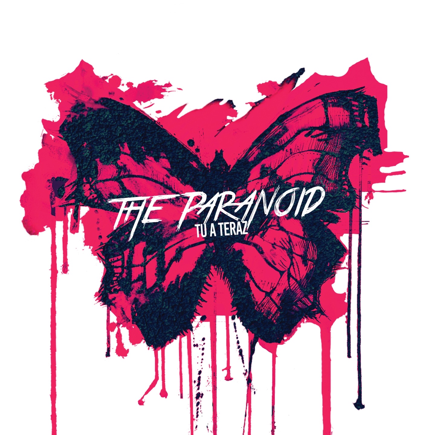 The Paranoid - Spovedam sa