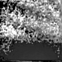 No Limit - Single - Luu