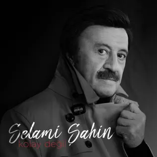 descargar álbum Selami Şahin - Kolay Değil