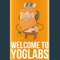 Welcome to Yoglabs - The Yogscast lyrics