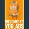Welcome to Yoglabs - The Yogscast lyrics
